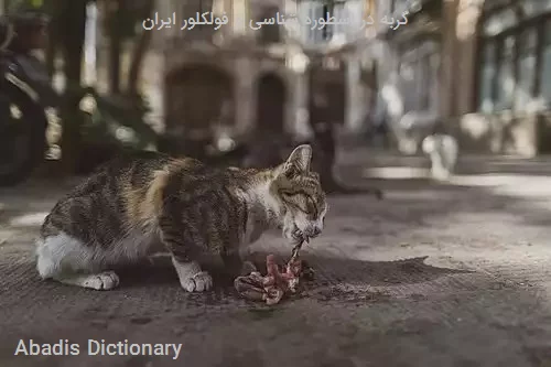 گربه در اسطوره شناسی و فولکلور ایران